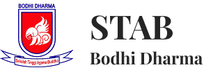 News STAB Bodhi Dharma